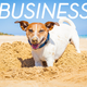 Illustration for article titled This Week In The Business: Digging Just The Right-Sized Hole